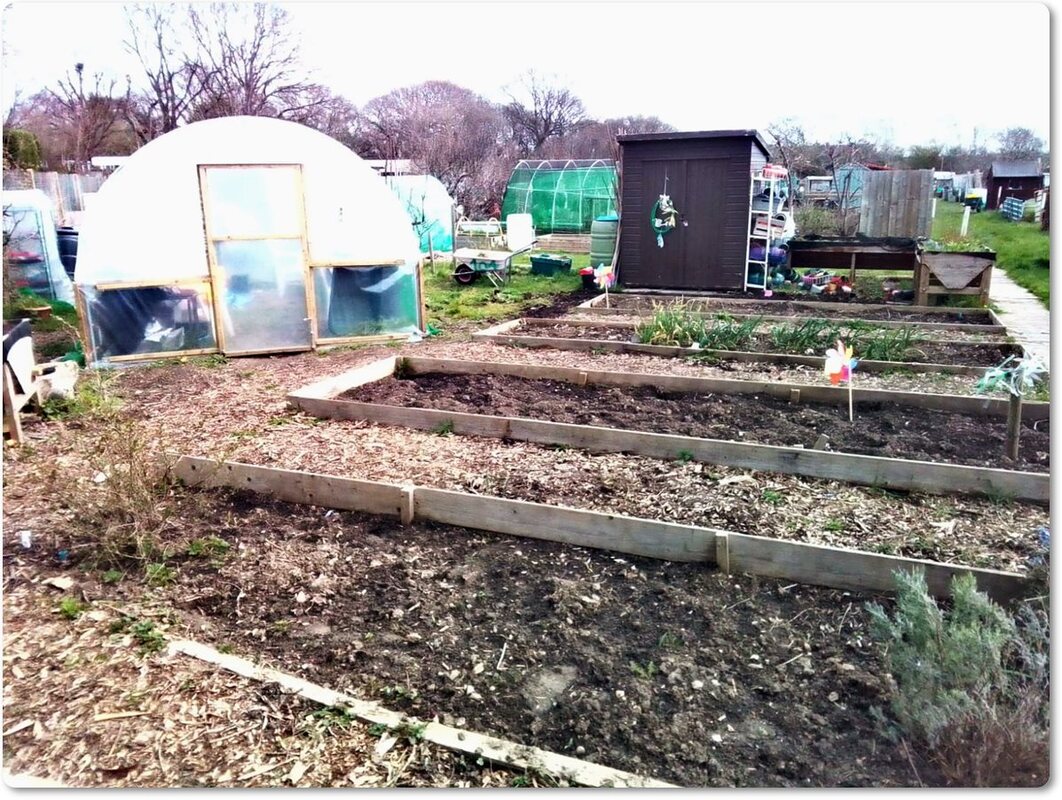 Gosport Community Gardeners Allotment - April 2023, image 1 of 3