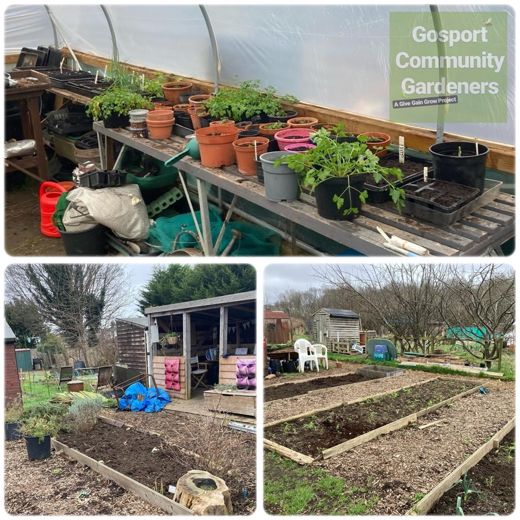 Feb 2024 - Allotment Photo collage 1 of 2 (image)
