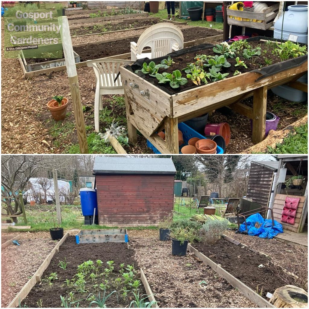 Feb 2024 - Allotment Photo collage 2 of 2 (image)