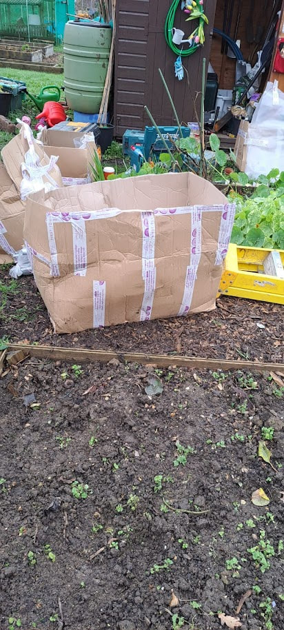 Boxes arrive on site... exciting! Gosport Community Gardeners image 2 of 6.