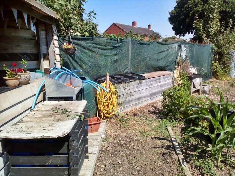 Gosport Community Gardeners - Allotment Housekeeping, Aug 22 (image 1 of 3)