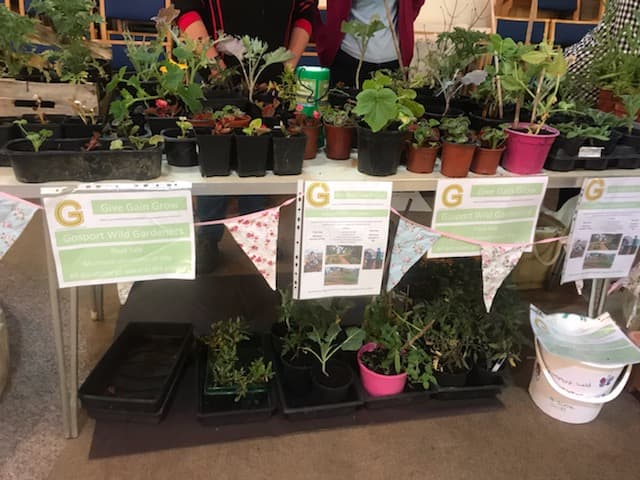 Gosport Wild Gardeners Table top plants - Saturday 8th June 2019 (image 1 of 2)