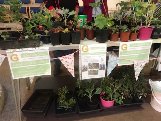 Gosport Community Gardeners Table top plants - Saturday 8th June 2019 (image 2 of 2)