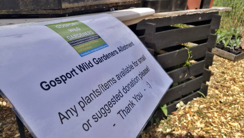 Gosport Community Gardeners' Open Day - photo 6 of 9