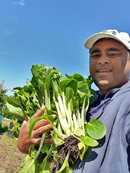 Gosport Community Gardener, Ratu enjoying his first harvest on the plot (June 22)